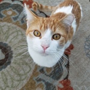 Meet your Posher, Jen